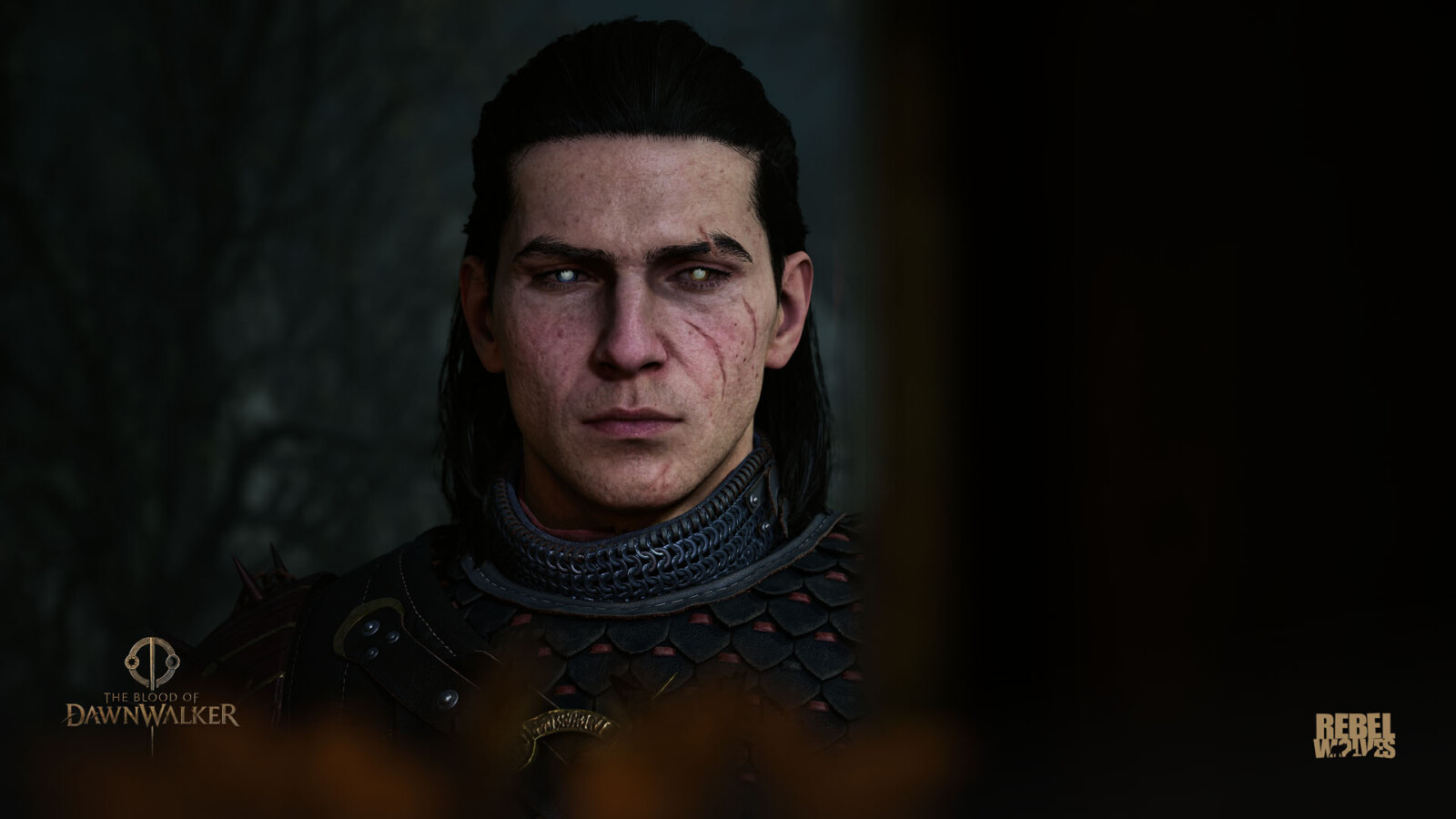The Blood of Dawnwalker je vonku na Xboxe a PC. Rebel Wolves stavia RPG na konflikte dňa a noci